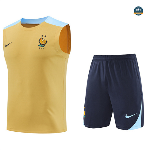 Achetés Maillot Training France Ensemble Short Debardeur 2024/25 Jaune