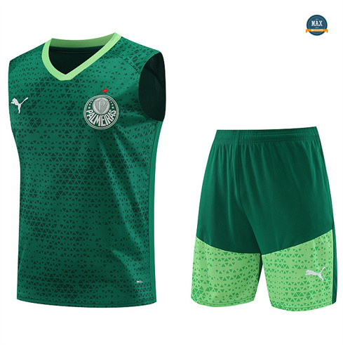 Mode‎ Maillot Palmeiras Ensemble Short Debardeur 2024/25 Vert