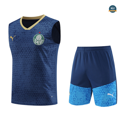 Nouveau Maillot Palmeiras Ensemble Short Debardeur 2024/25 Bleu