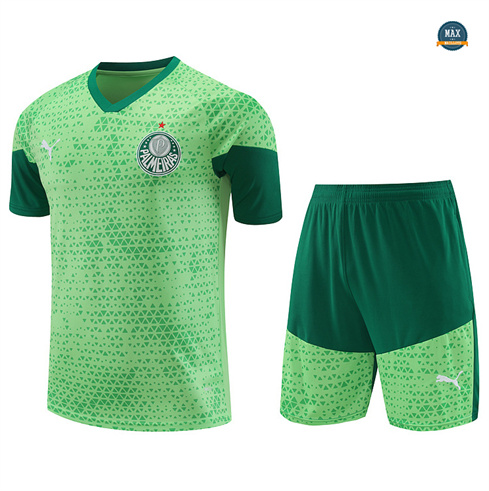 Grossiste Maillot Palmeiras + Short 2024/25 Vert